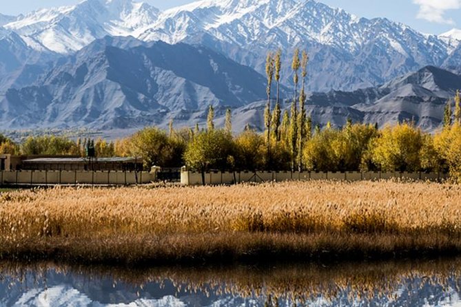 6 Days Magical Ladakh Tour - Good To Know