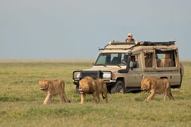 6-Days Private Luxury Safari: Serengeti, Ngorongoro Crater - Good To Know