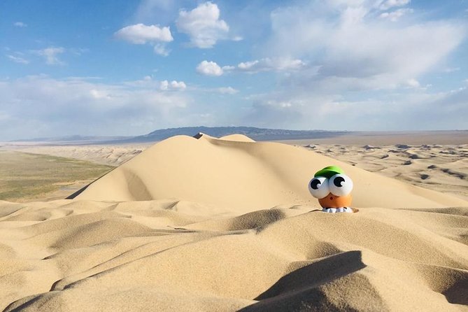 6 Days Private Tour in Gobi Desert - Accommodation Details