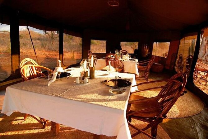 6 Days Rhino & Chimpanzee Trip to Mkomazi NP and Gombe Stream NP - Good To Know