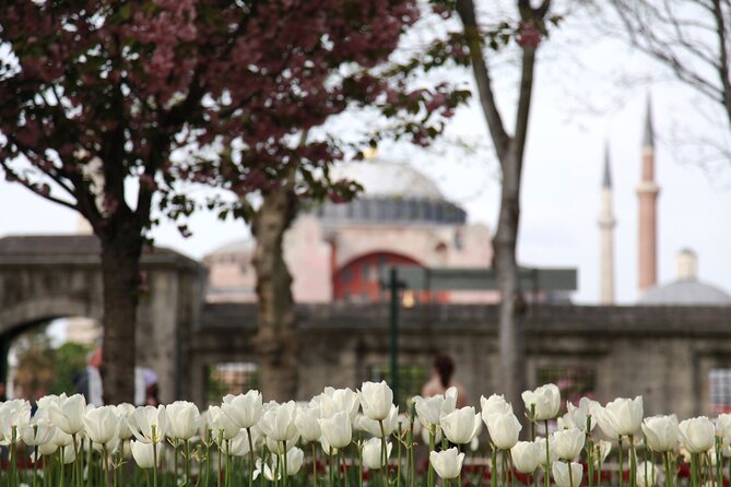 6 Days Special Islamic Tour - Good To Know