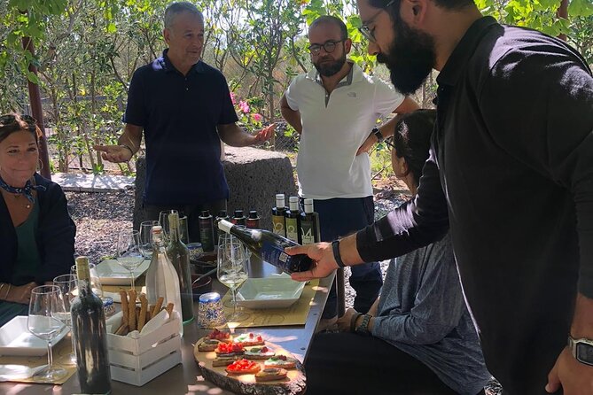 6-Hour Activities on Etna With Wine and Olive Oil Tasting - Good To Know