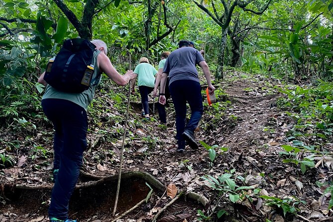 6 Hour Private Hidden Waterfall Hike in Kekoldi - Good To Know