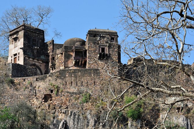 03 Days Private Ranthambore Wildlife Safari Tour From Delhi - The Sum Up