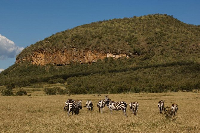 1 Day Hells Gate Bicycle Tour (minimum 2 Pax) - Additional Information