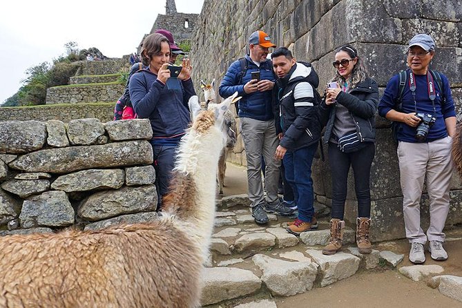 1 Day Luxury Tour to Machu Picchu - Health and Accessibility Considerations