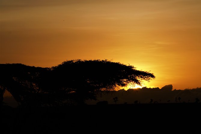 1 Day Safari - Ol Pejeta Conservancy. - Booking Process