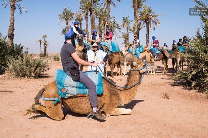 1 Hour Riding Camel in Palmeraie Marrakech, Ride Camel in Palmeraie Marrakech - Booking Details