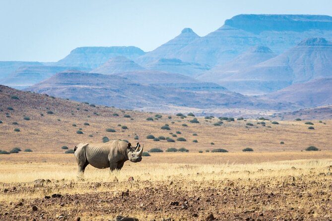 10 Days Beauty of Namibia | Camping - Optional Activities