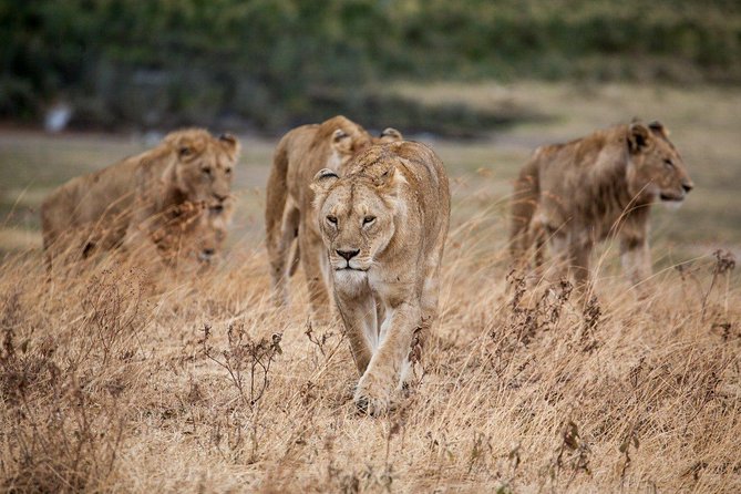 11 Days / 10 Night Private Group Safari - Cancellation Policy