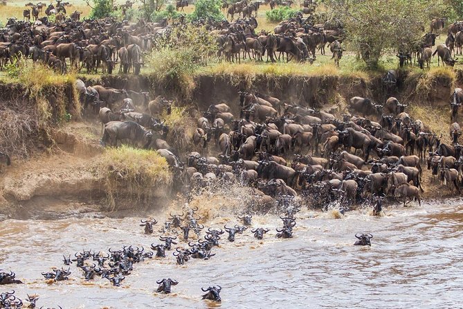11 Days / 10 Nights Join Group Safari - Cultural and Wildlife Exploration