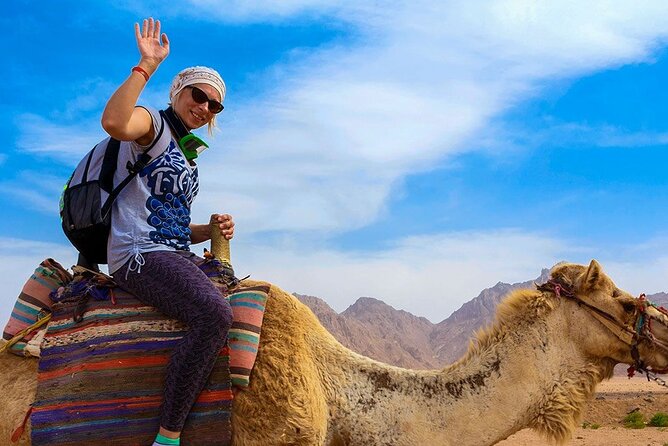 11-Days Private Tour in Cairo, Aswan, and Hurghada With Luxor Nile Cruise - Day 1: Arrival in Cairo