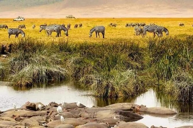 12 Days Private Safari in Tanzania With a Zanzibar Beach Getaway - Zanzibar Beach Escape