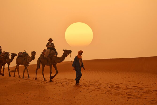 14 Day Private Tour of Diverse Morocco Landscapes - Entertainment and Local Experiences