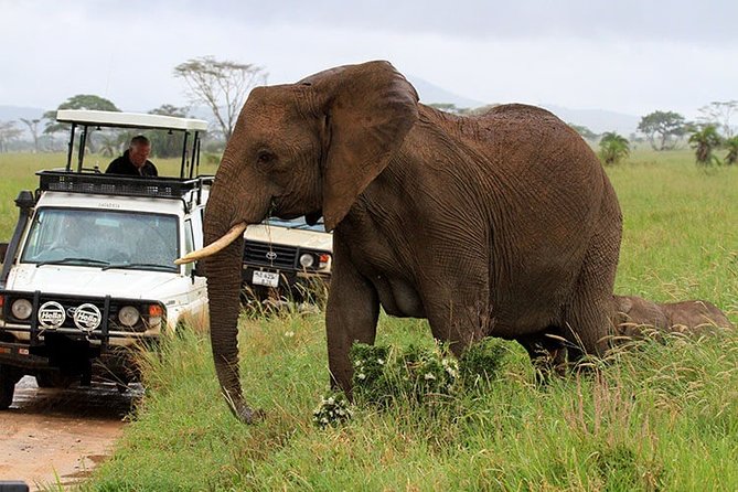 14-Days Kenya and Tanzania Big 5 Wildlife Camping Safari From Nairobi - Additional Information for Travelers