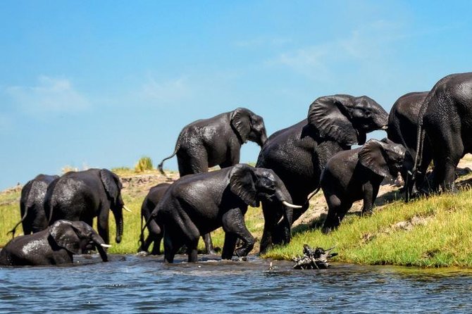 15 Days Namibia, Botswana and Zimbabwe