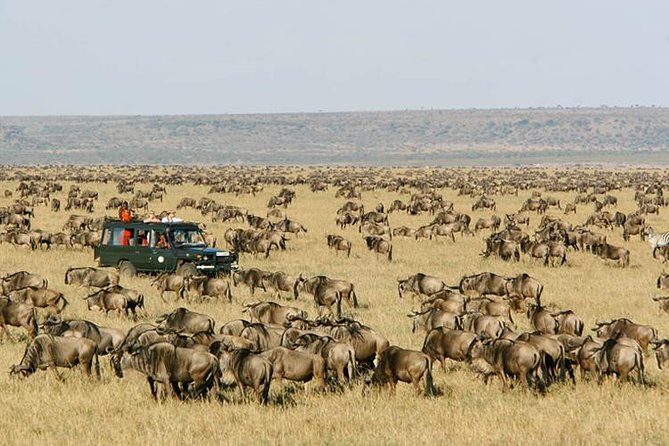 16 Days Kenya Tanzania Uganda Safari - Booking Process