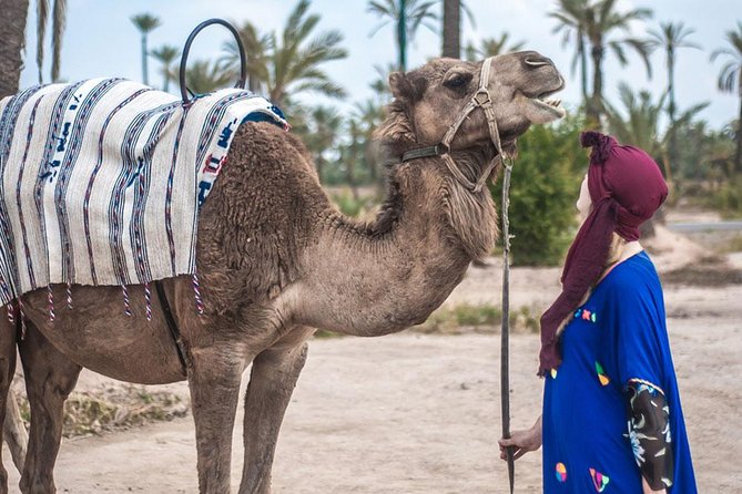 2 Activity in Some Day in Agadir Camel Ride & City Tour Agadir - Booking Details