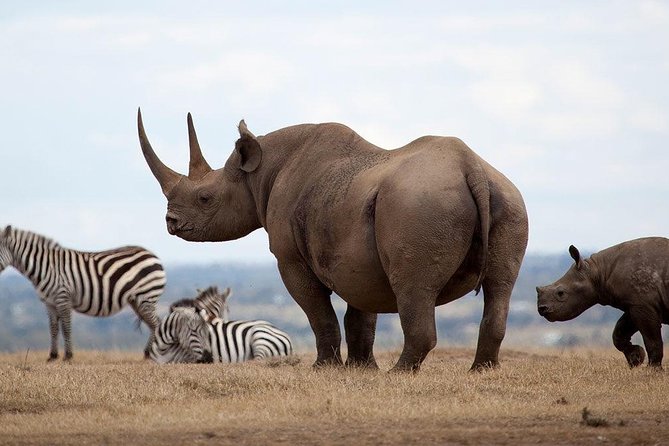 2-Day Aberdares National Park Private Safari - Pricing Information