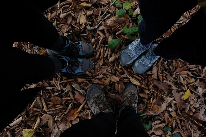 2 Day Backpacking And Hiking Tour in Mtirala National Park - Contact Information