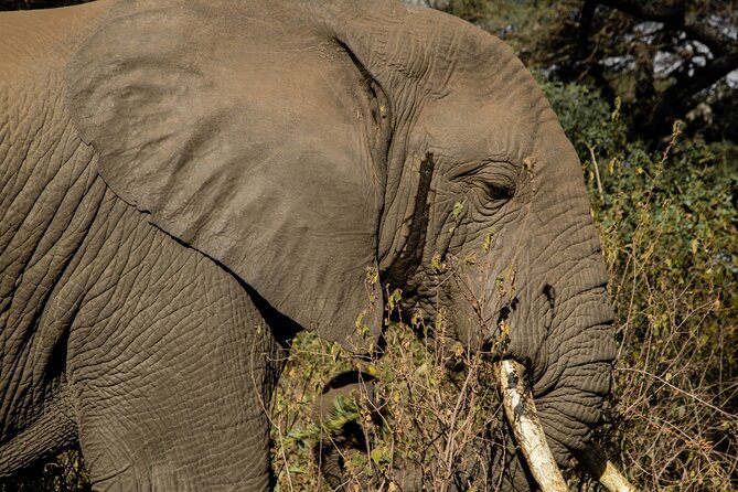 2-Day Fly-In From Zanzibar to Tarangire NP Mid Range Safari - Detailed Cost Breakdown