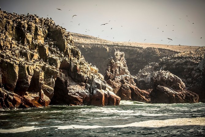 2-Day Nazca Lines and Ballestas Islands From Lima - Pricing Information