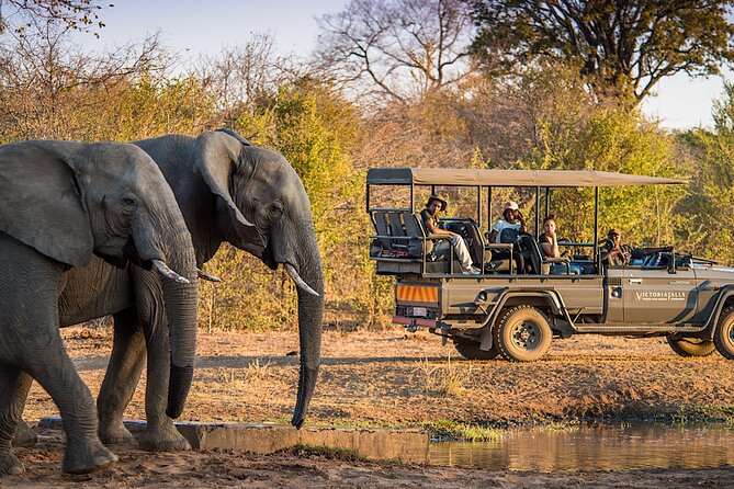 2 Day Small Group Garden Route Big 5 Safari Tour From Cape Town - Wildlife Encounters