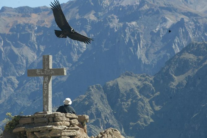 2 Days 1 Night Colca Canyon Tour From Arequipa - Booking and Confirmation Details