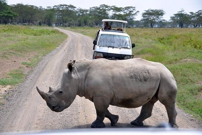 2 Days Aberdare National Park Luxury Lodge Safari - Pricing Information