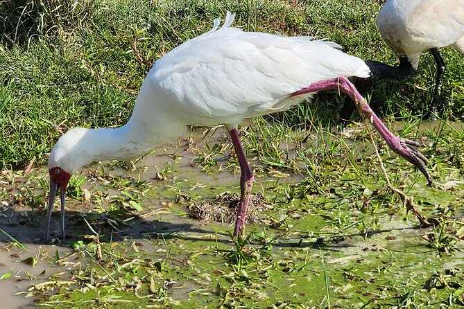 2 Days Amboseli Express Deluxe Tours - Pricing