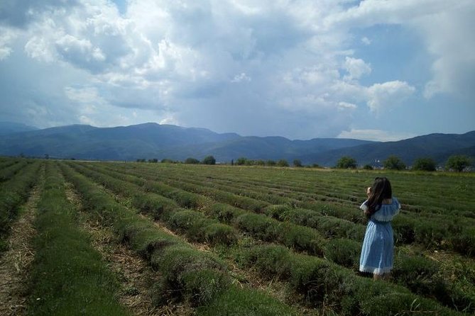 2 Days From Sofia: Thracian Tombs and the Way to Immortality - Journey The Sum Up and Farewell