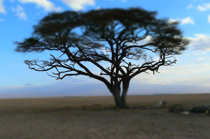 2-Days Guided Tour in Tsavo East - Additional Information