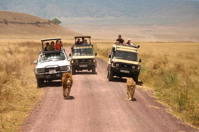 2 Days Lodge Safari; Lake Manyara & Ngorongoro Crater - Directions and Ticket Redemption