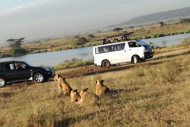 2 Days Masai Mara Budget Safaris - About the Operator