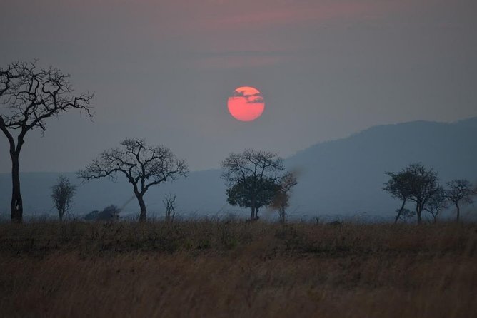 2 Days Mikumi and Udzungwa Falls National Parks From Ifakara Tanzania - National Park Experience