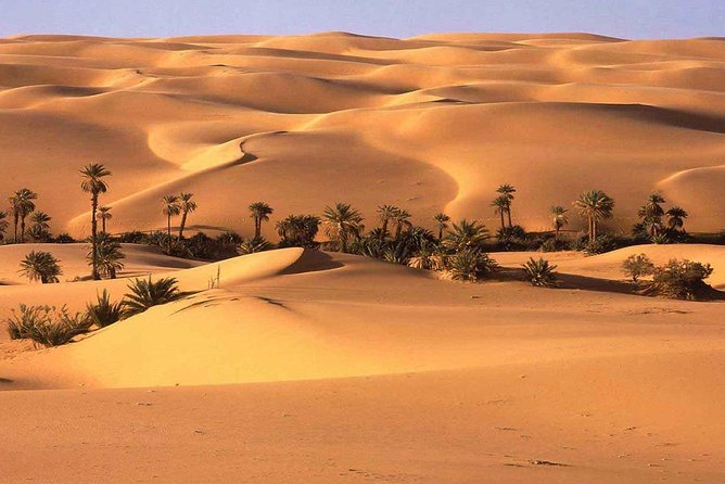 2 Days Oasis & Desert, Private Tour From Marrakech - Additional Details