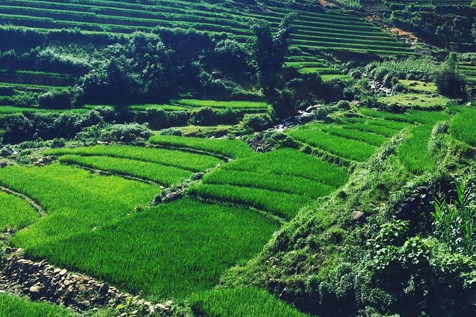 2-Days Overnight Sapa Trekking Tour by Bus From Hanoi - Schedule and Tour Requirements