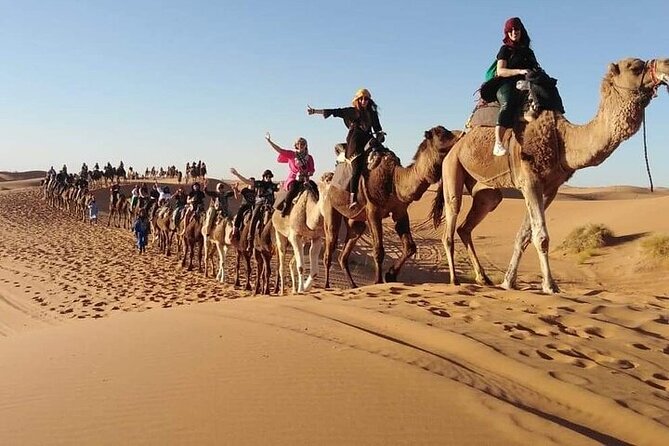 2 Days Private Luxury Tour to Merzouga Desert From Fez - Meeting and Pickup