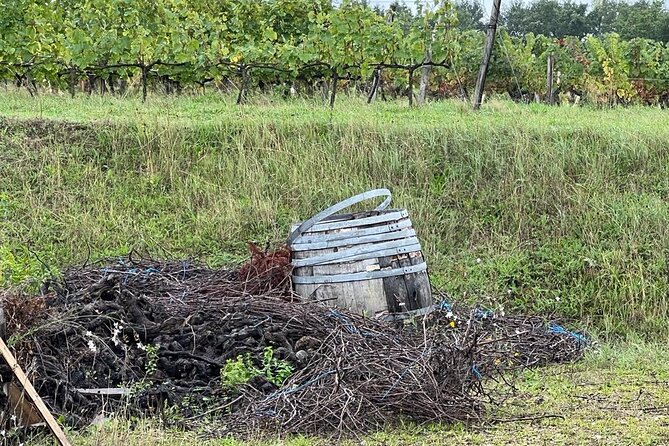 2 Days Wine Tasting Private Tour - Tour Logistics