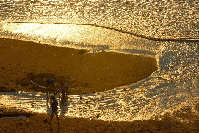 2 Days Xiapu Mudflat Photography Tour in Fujian - Weather Considerations