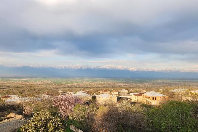 2 Hour Private Qvevri Wine Tasting at Kardnakhi Estate - Booking and Cancellation Policy