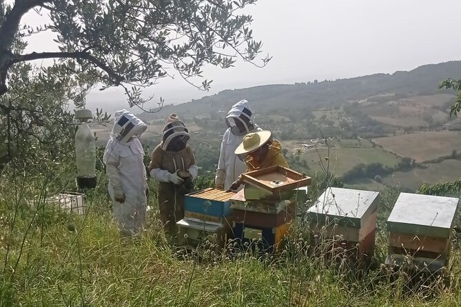 2 Hours Beekeeping and Honey Tasting Activities in Assisi - Directions and Location Details