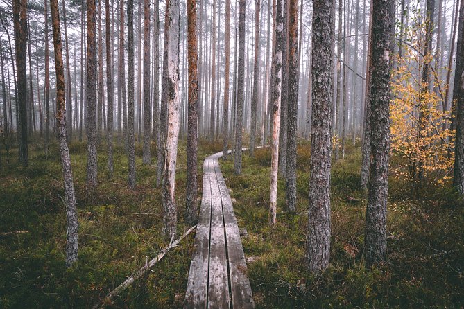 2 in 1: Sigulda and JūRmala in a Single Daytrip (All Inclusive) - Booking Details