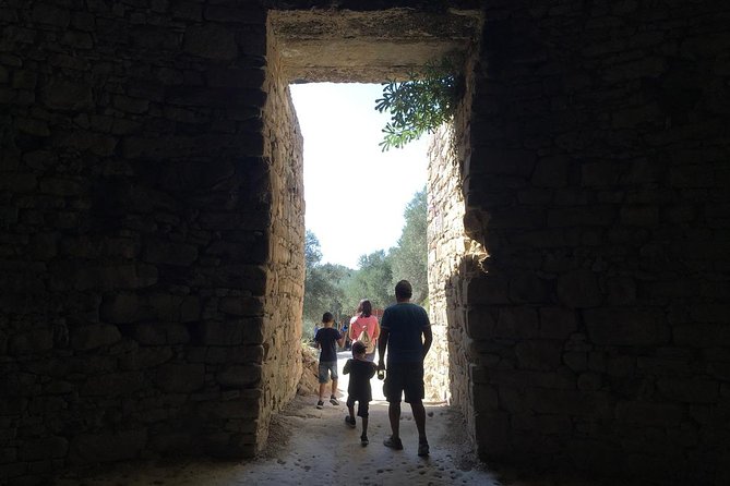 2 or 3-Day Messini Private Tour With Methoni & Nestors Palace - Tour Guide Information