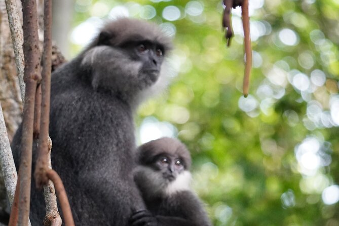 2h Private Bentota River Safari Tour With Pickup - Cancellation Policy