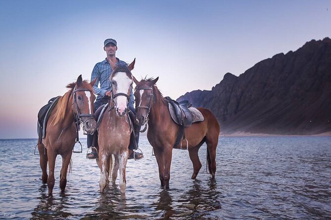 3-Day Horseback Riding Expedition in the Sinai Desert - Tour Details
