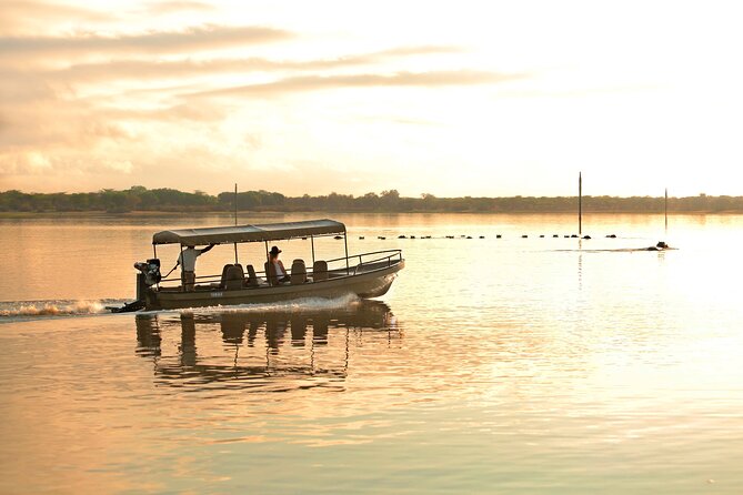 3 Day Luxury Selous Wildlife Encounter Safari Tour - Dining Experience