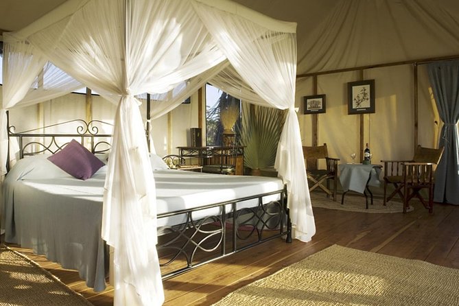 3-Day Masai Mara Safari (Mid-Range Accommodation) - Booking and Availability