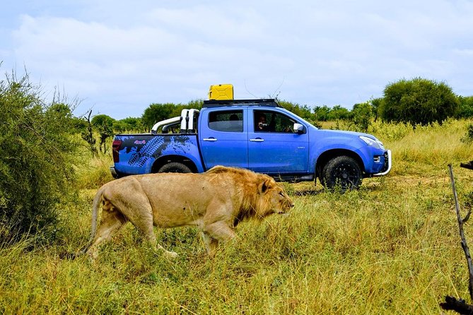 3 Day Moremi Camping Safari - Pickup Logistics
