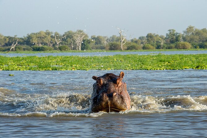 3 Day Nyerere NP Safari Adventure From Zanzibar to Selous - Accommodations and Meals